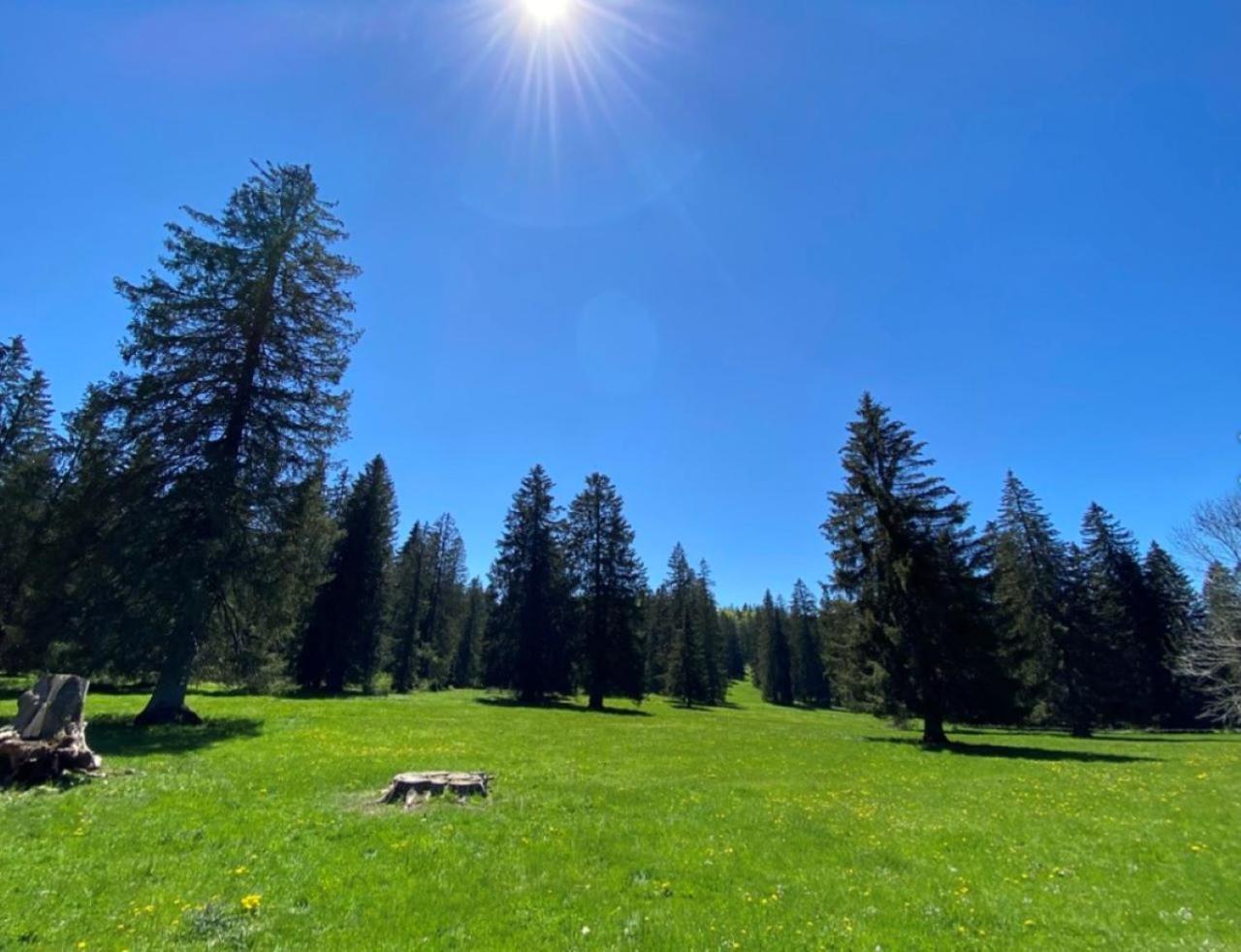 Villa 18.78, 10 Min De La Suisse Damprichard Esterno foto